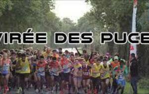 Virée des puces